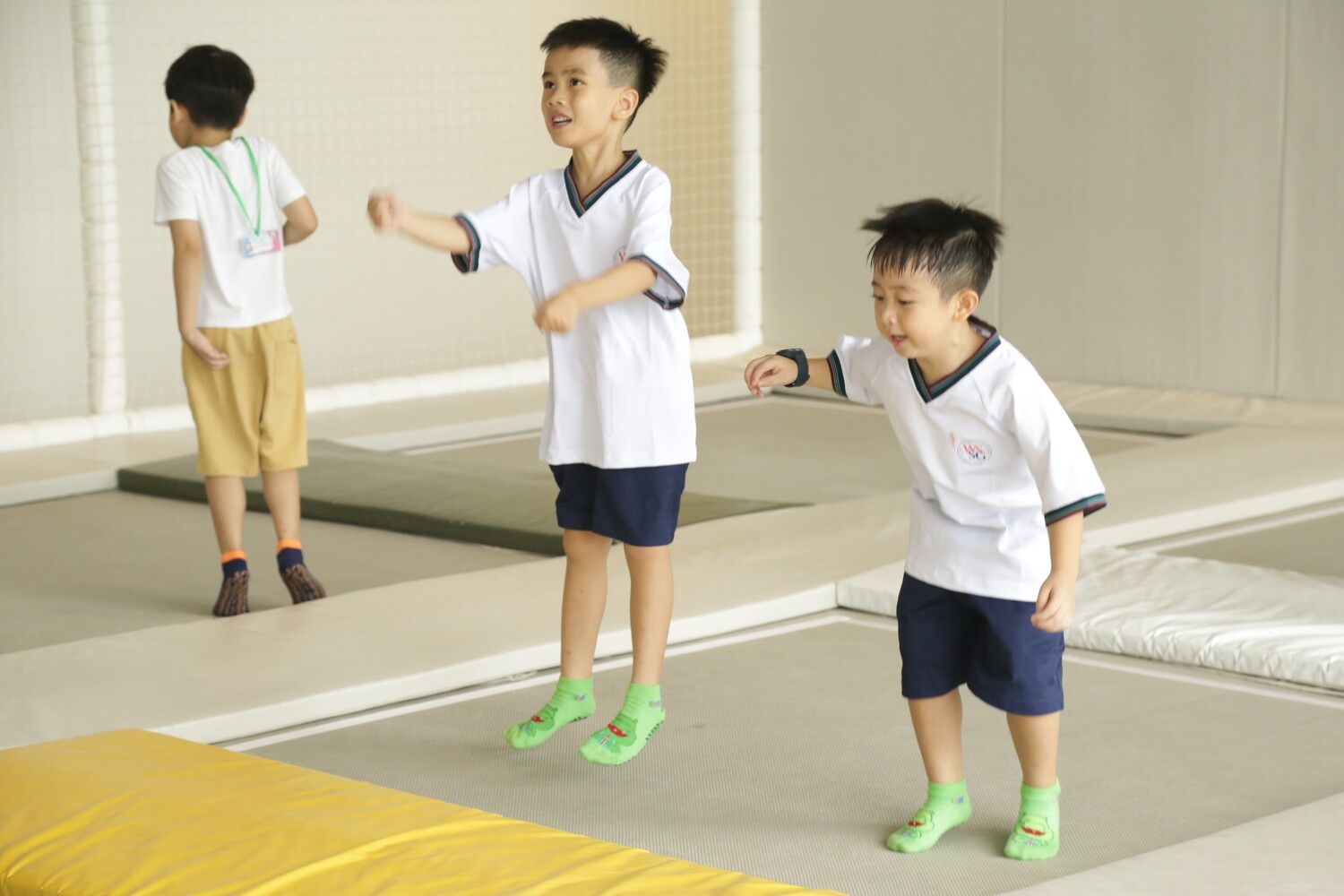 activity