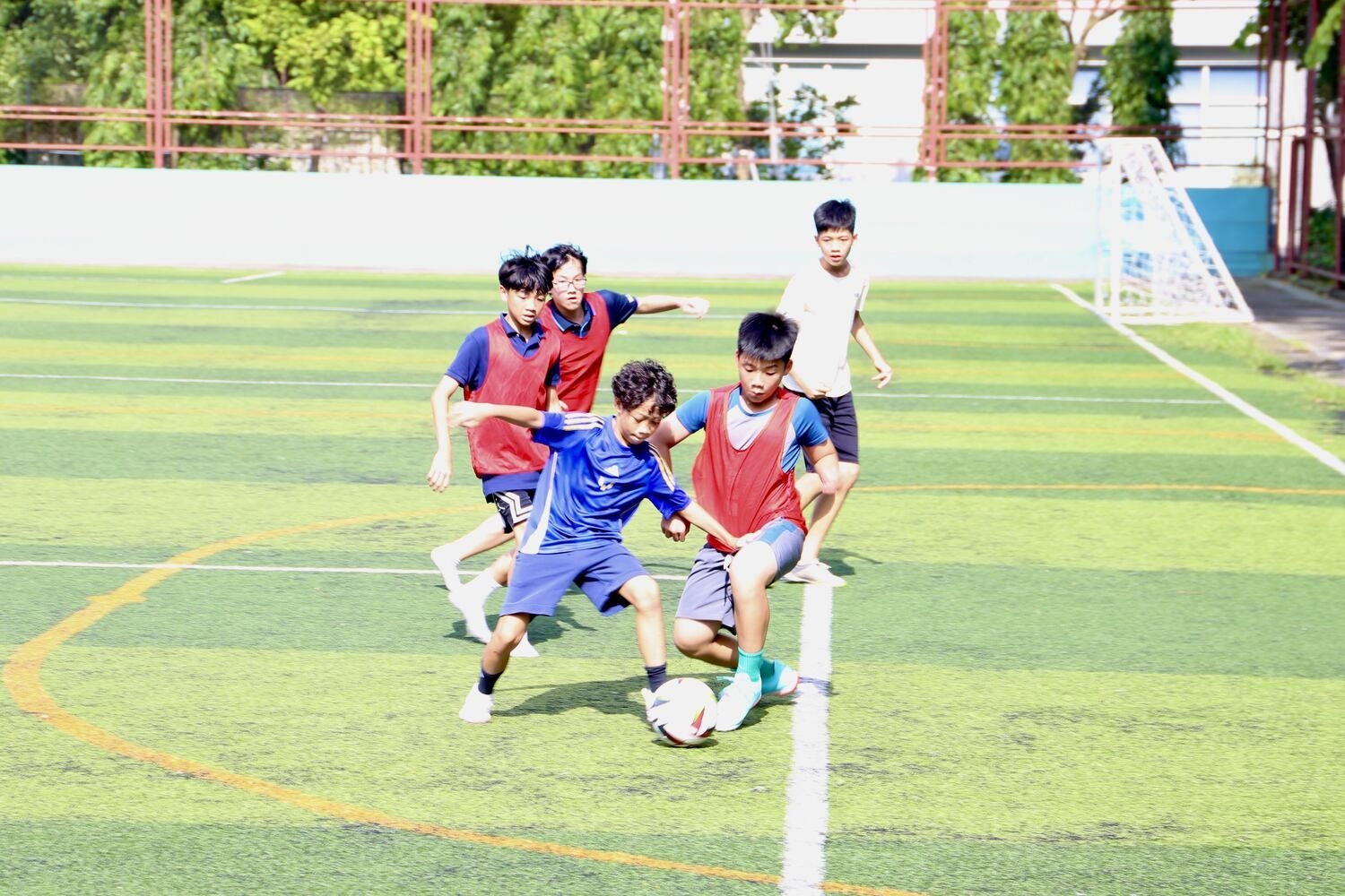 activity