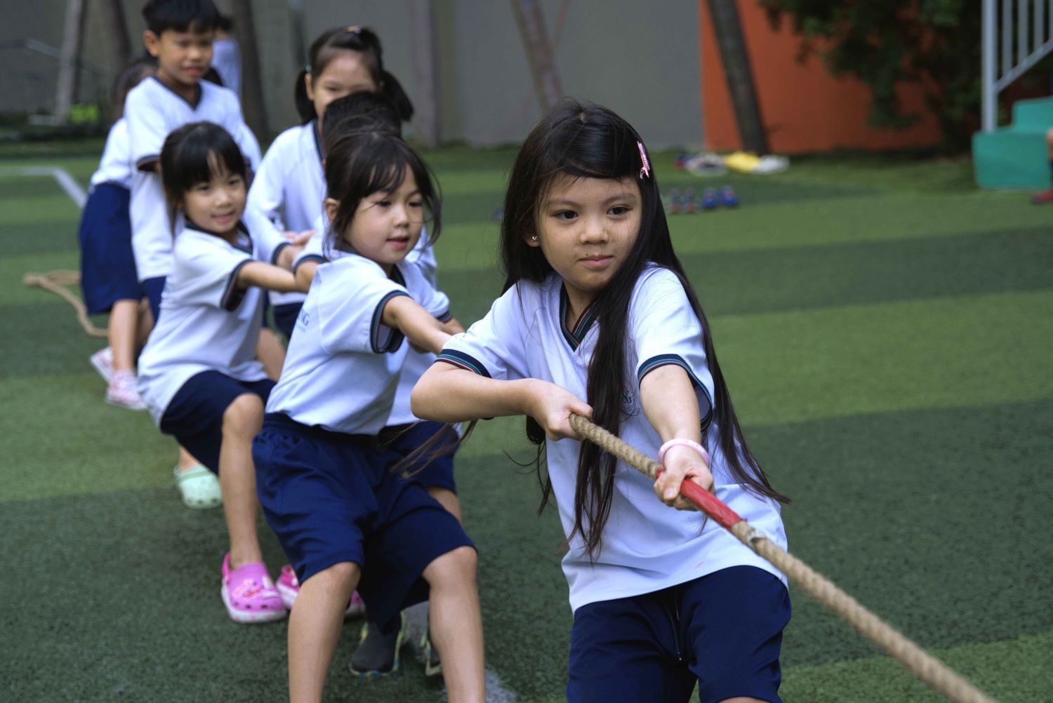 activity