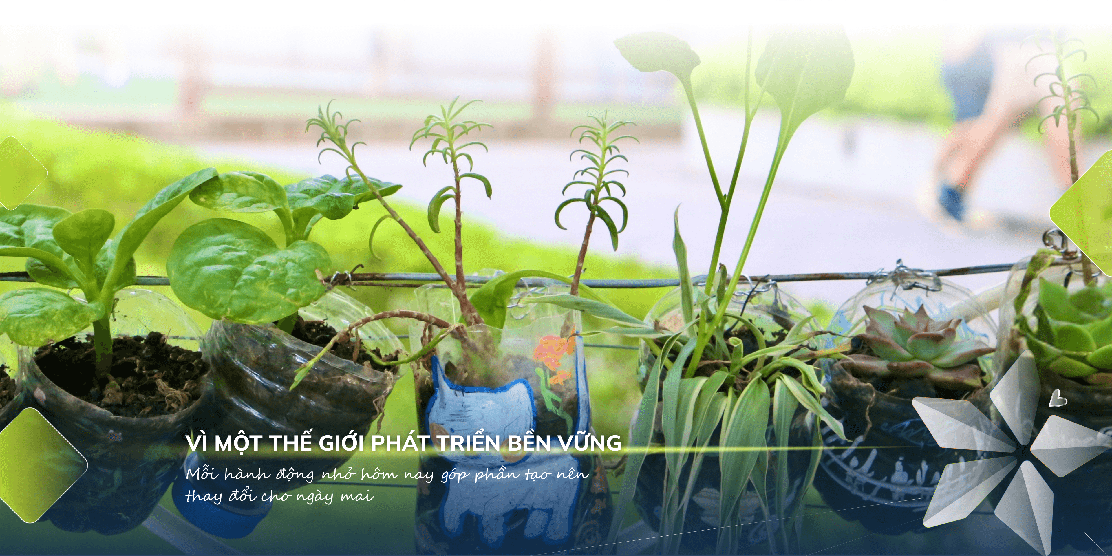 Công dân thế kỉ XXI hành động vì một thế giới phát triển bền vững